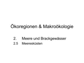 Ökoregionen & Makroökologie