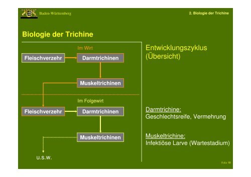 Entnahme von Proben beim Wildschwein zur ... - Landkreis LÃ¶rrach