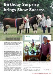 Birthday Surprise brings Show Success - Hereford Cattle Society