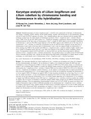 Karyotype analysis of Lilium longiflorum and ... - Lilium Breeding