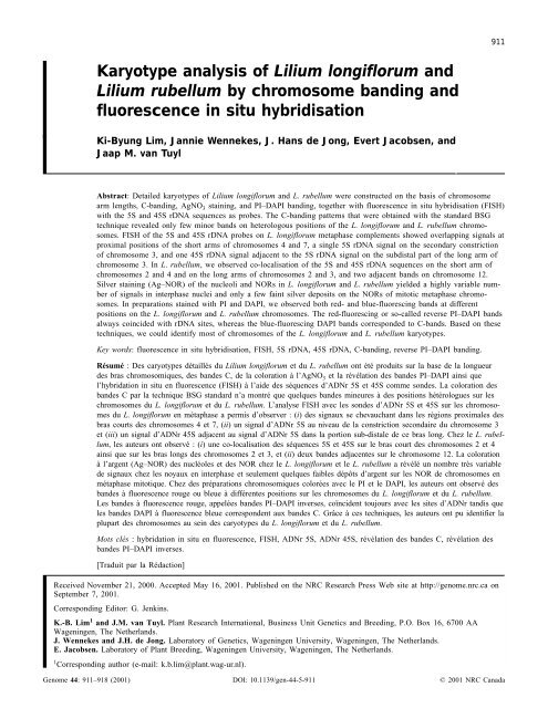 Karyotype analysis of Lilium longiflorum and ... - Lilium Breeding