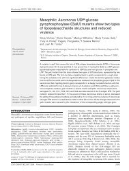 Mesophilic Aeromonas UDP-glucose ... - Microbiology