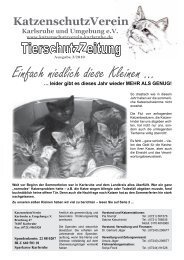 Einfach niedlich diese Kleinen … - KatzenschutzVerein Karlsruhe ...