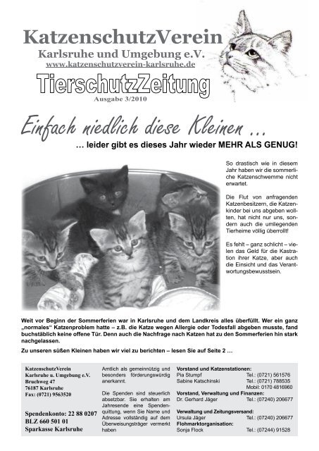 Einfach niedlich diese Kleinen … - KatzenschutzVerein Karlsruhe ...
