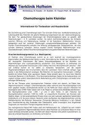 Infoblatt Onkologie - Tierklinik Hofheim