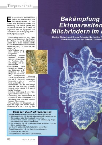 Bekämpfung v Ektoparasiten Milchrindern im H - Vetion.de