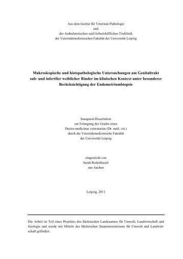 Dissertation Rodenbusch_20052011 ohne Lebenslauf