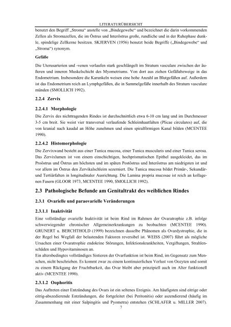 Dissertation Rodenbusch_20052011 ohne Lebenslauf