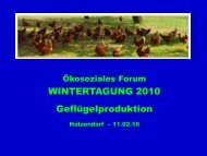 Wintertagung 02-10 Milben.pdf - Dr. Heinz Strahl