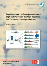 Regulation der clp-Genexpression durch ClgR und Definition des ...