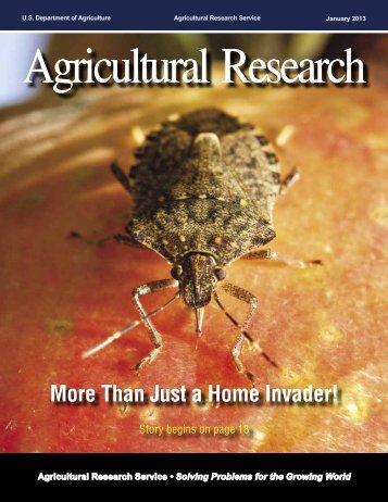 AR Magazine, January 2011 - Agricultural Research Service - US ...