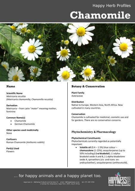 Chamomile flower (Matricaria recutita) - Happiness Is