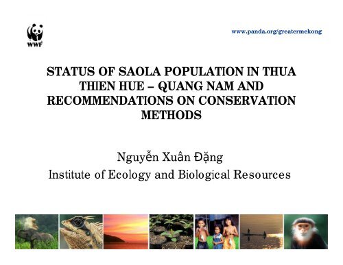STATUS OF SAOLA POPULATION IN THUA THIEN HUE – QUANG ...