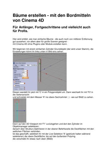 Bäume erstellen - mit den Bordmitteln von Cinema 4D