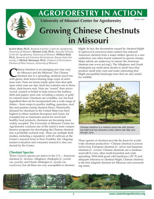 Growing Chinese Chestnuts in Missouri - University of Missouri ...