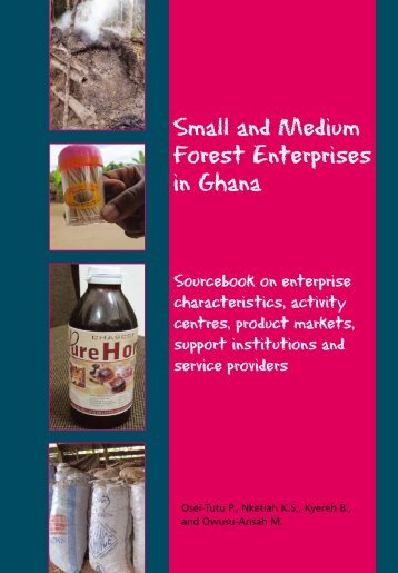 Small and Medium Forest Enterprises in Ghana - PROFOR