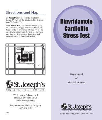 Dipyridamole Stress Testing