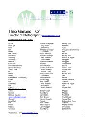 Theo Garland CV - Wizzo & Co