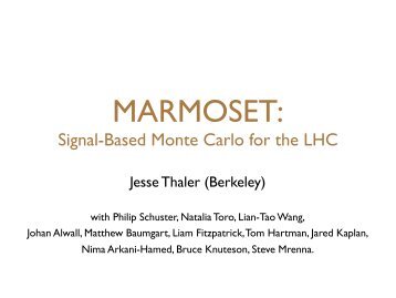 MARMOSET: - UC Davis Particle Theory