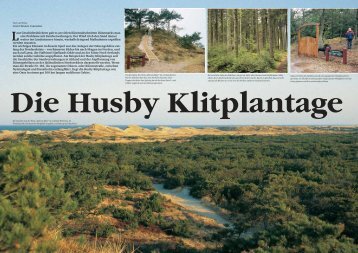 Die Husby Klitplantage - Coast Alive