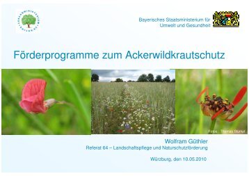 Wolfram Güthler - Förderprogramme zum Ackerwildkrautschutz