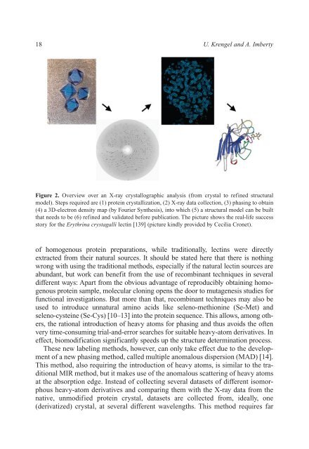 Crystallography and Lectin Structure Database - CNRS