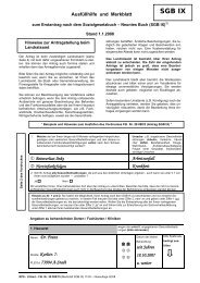 Merkblatt mit Ausfüllhinweisen SGB IX - Landratsamt Schwarzwald ...