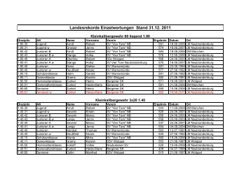 PDF-Datei