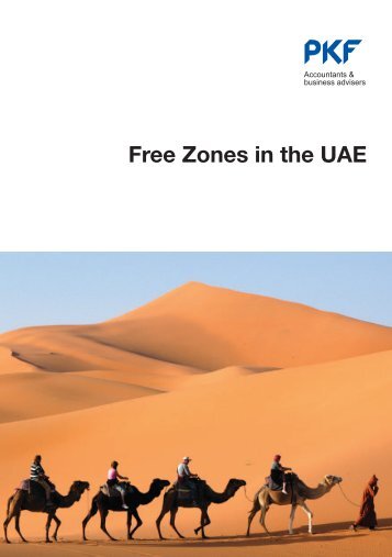 Free Zones in the UAE - PKF International