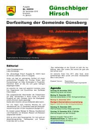 Ausgabe20104 - Günsberg