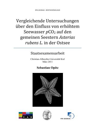 Einfluss von Ozeanversauerung auf den gemeinen Seestern ...