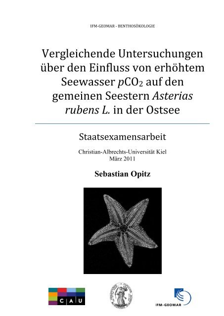 Download Zeigen sie mir ein bild von einem seestern HD