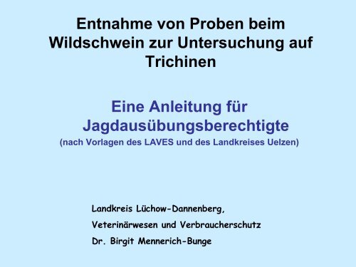 Entnahme von Proben beim Wildschwein zur Untersuchung auf ...