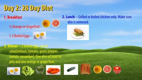 Day 1: 28 Day Diet 1. Bre