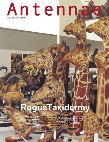RogueTaxidermy - Antennae The Journal of Nature in Visual Culture