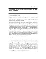 Fungal spores in rainwater: stemflow, throughfall ... - Fungal diversity