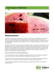 Wassermelonen