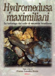 La tartaruga dal collo di serpente brasiliana - Reptilia