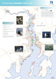 Derwent Estuary Foreshore Walking Tracks - Discover Tasmania