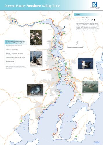 Derwent Estuary Foreshore Walking Tracks - Discover Tasmania