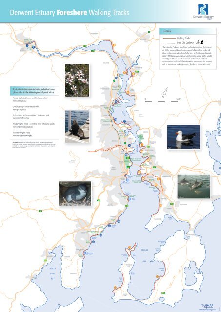 Derwent Estuary Foreshore Walking Tracks - Discover Tasmania