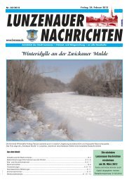 Winteridylle an der Zwickauer Mulde - Lunzenau