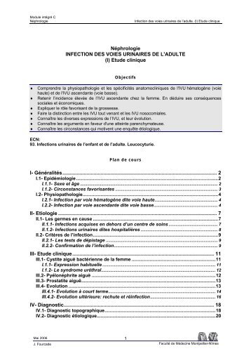 Néphrologie INFECTION DES VOIES URINAIRES DE L'ADULTE (I ...