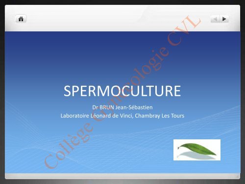 spermoculture