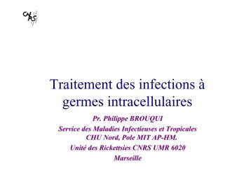 Traitement des infections à germes intracellulaires - Infectiologie