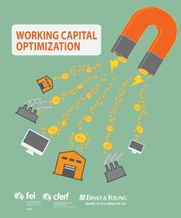 Working capital optimization