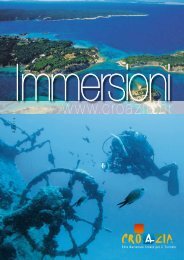 Immersioni