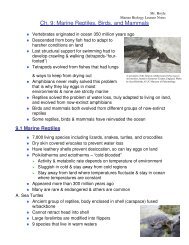 Ch. 9: Marine Reptiles, Birds, and Mammals - Mr. Hoyle's Science ...
