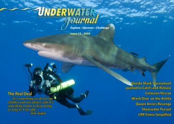 Issue 12 - Stingray Divers