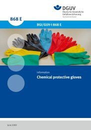 BGI/GUV-I 868 E Chemical protective gloves ...